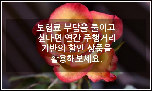 오늘의 이미지