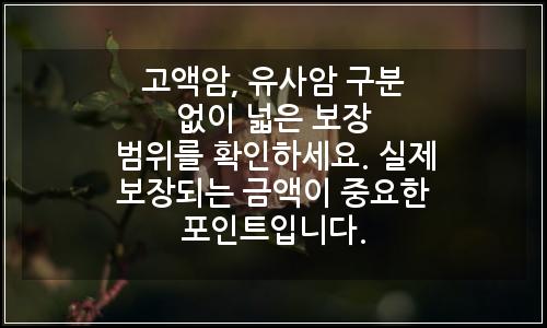 오늘의 이미지
