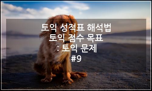 오늘의 이미지