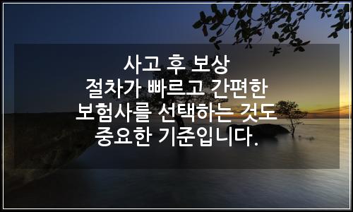 오늘의 이미지