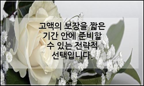오늘의 이미지