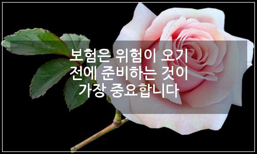 오늘의 이미지