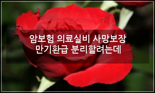 오늘의 이미지