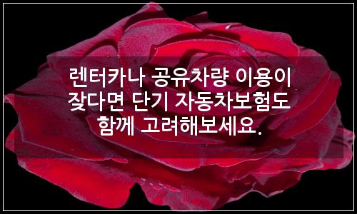 오늘의 이미지