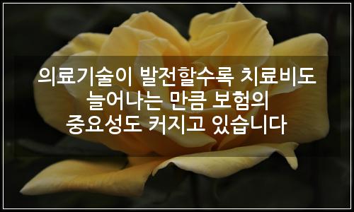 오늘의 이미지