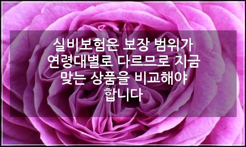 오늘의 이미지
