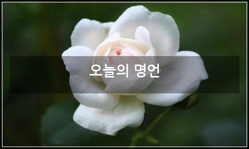 오늘의 이미지