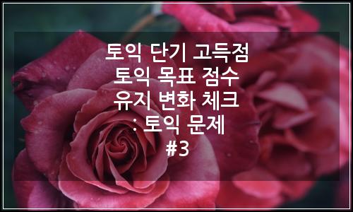 오늘의 이미지