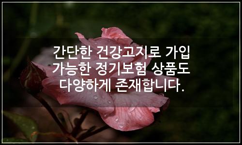 오늘의 이미지
