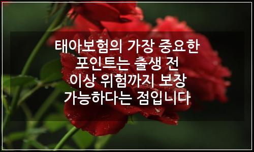 오늘의 이미지