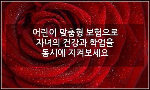 오늘의 이미지