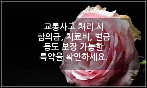 오늘의 이미지
