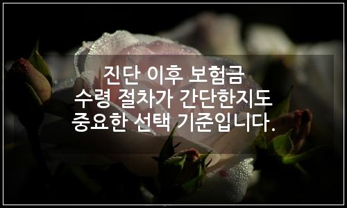 오늘의 이미지