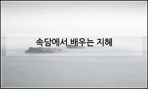 오늘의 이미지