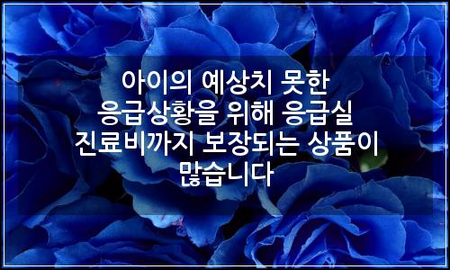 오늘의 이미지