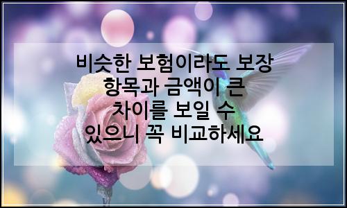 오늘의 이미지