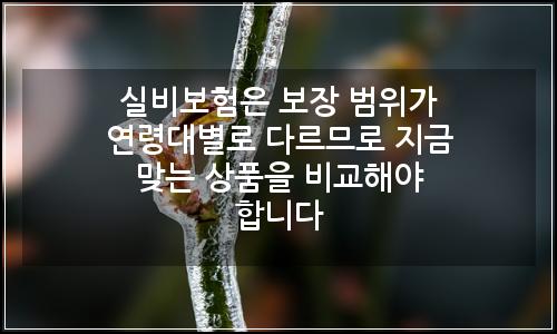오늘의 이미지