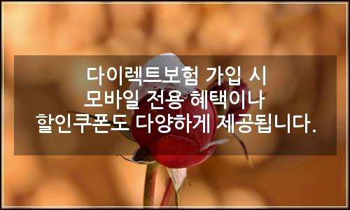 오늘의 이미지