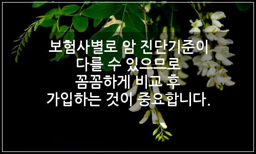 오늘의 이미지