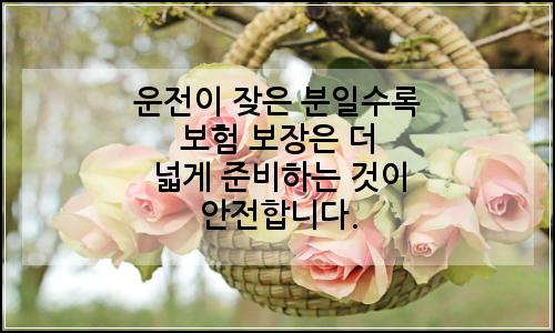 오늘의 이미지