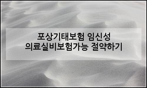 오늘의 이미지