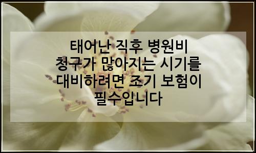 오늘의 이미지
