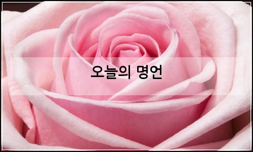 오늘의 이미지