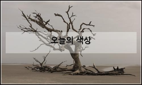 오늘의 이미지