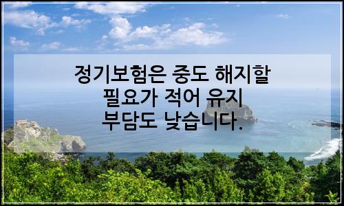 오늘의 이미지