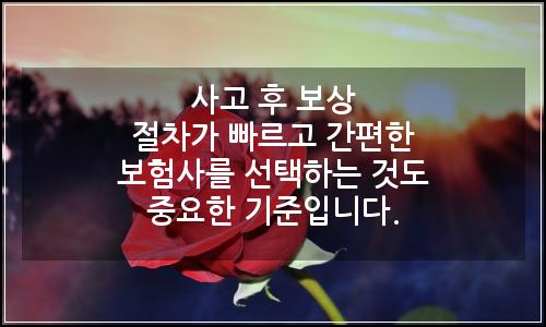 오늘의 이미지