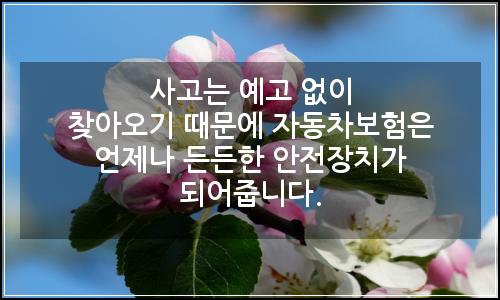 오늘의 이미지