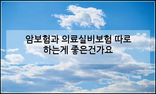 오늘의 이미지
