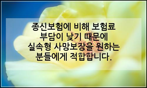 오늘의 이미지