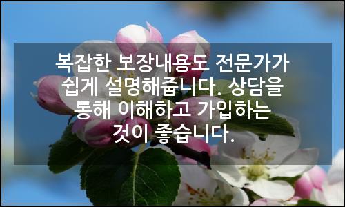 오늘의 이미지