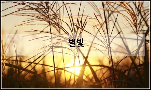오늘의 이미지