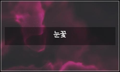 오늘의 이미지
