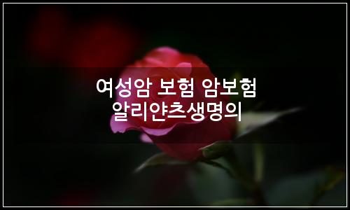 오늘의 이미지