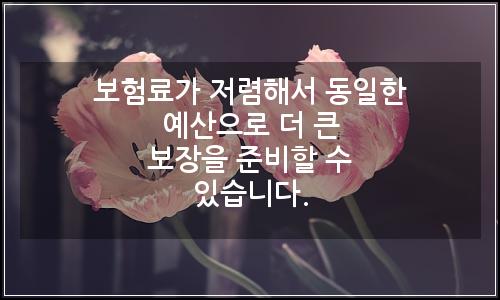 오늘의 이미지