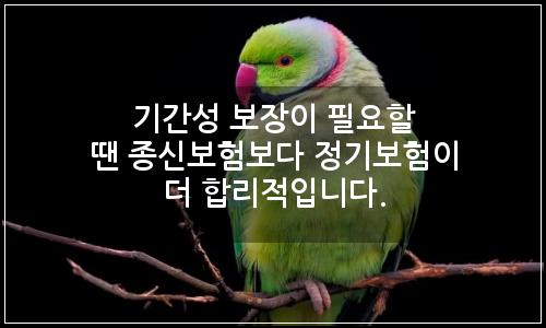 오늘의 이미지