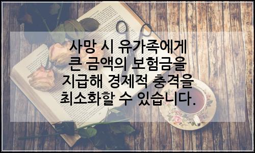 오늘의 이미지