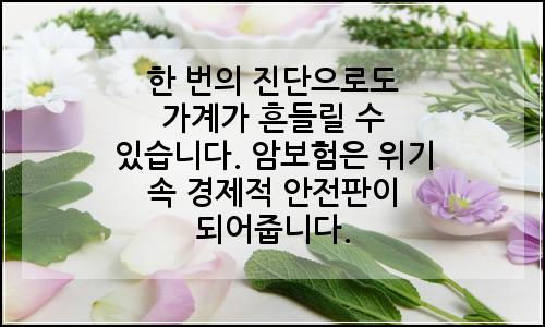 오늘의 이미지