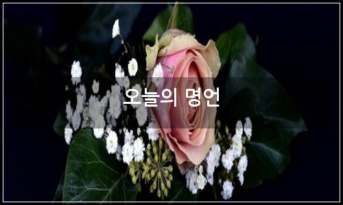 오늘의 이미지