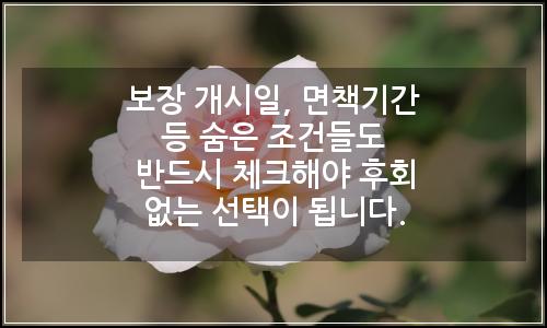 오늘의 이미지