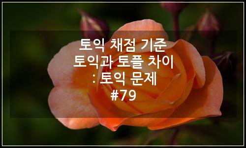 오늘의 이미지