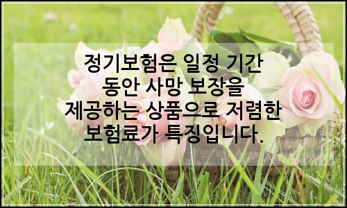 오늘의 이미지