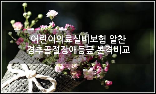 오늘의 이미지