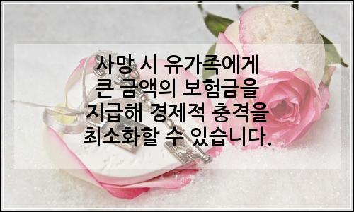 오늘의 이미지