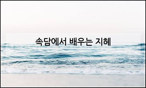 오늘의 이미지