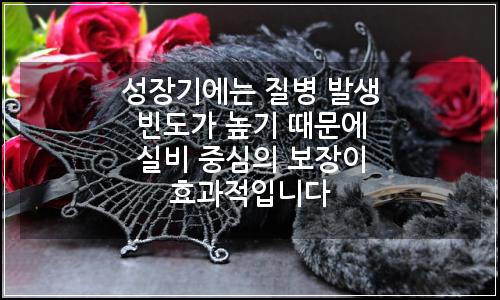 오늘의 이미지