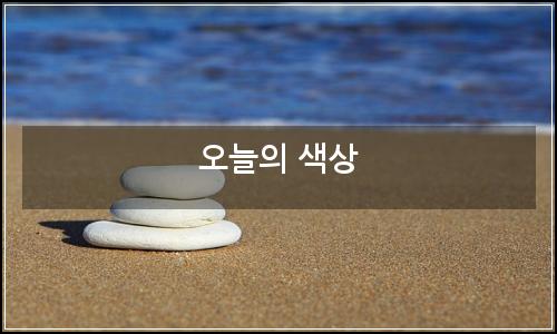 오늘의 이미지